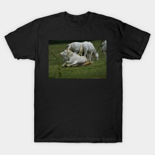 Wild Horse T-Shirt